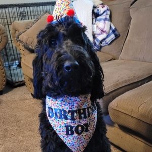 Meet your Posher, Cecilia